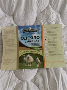 Елена Босых